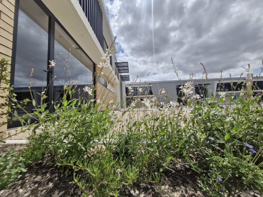 To Let commercial Property for Rent in Stikland Industrial Western Cape